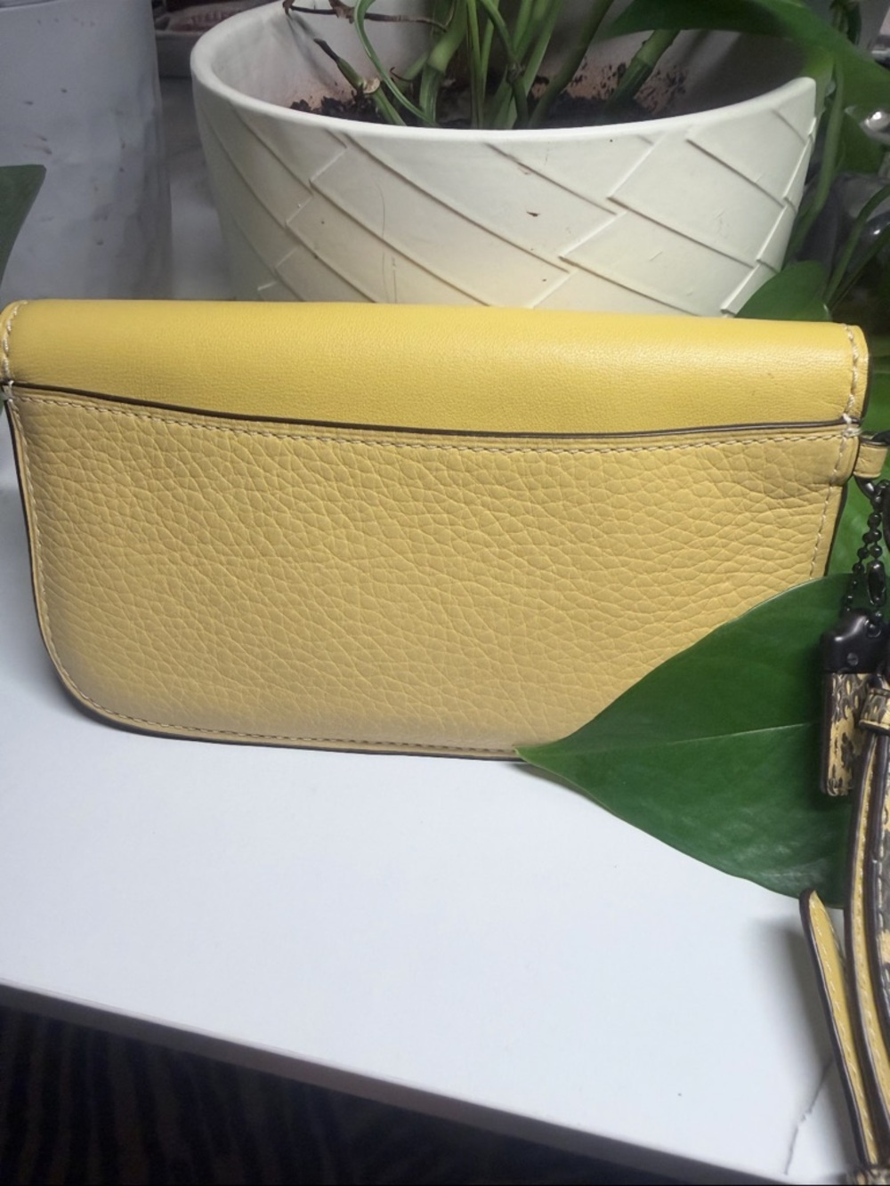 COACH HAY YELLOW/COLORBLOCK EXOTIC SNAKESKIN CLUTCH - Picture 4 of 8